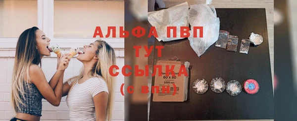 крисы Богородицк