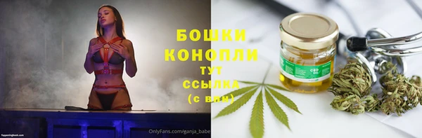 крисы Богородицк