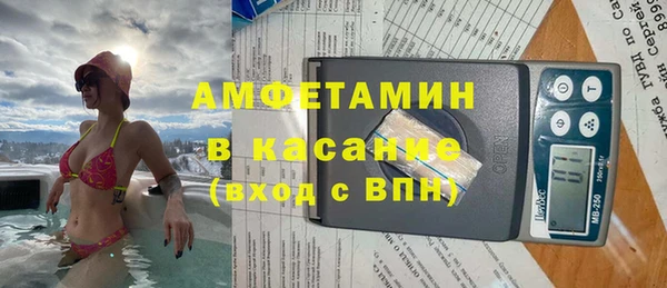 крисы Богородицк