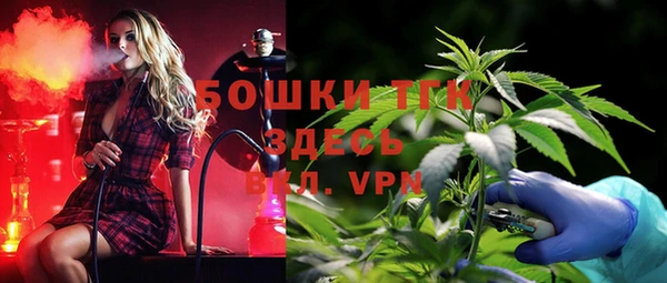 крисы Богородицк