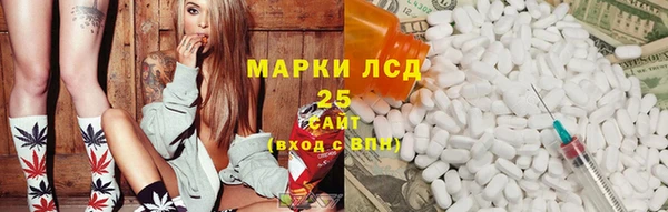 крисы Богородицк