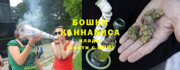 крисы Богородицк